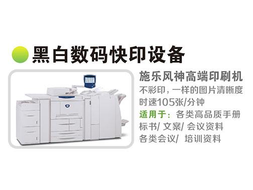 黑白快印3